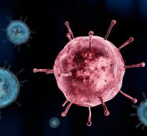 Le coronavirus a muté: 2 souches du coronavirus tueur se répandent dans le monde